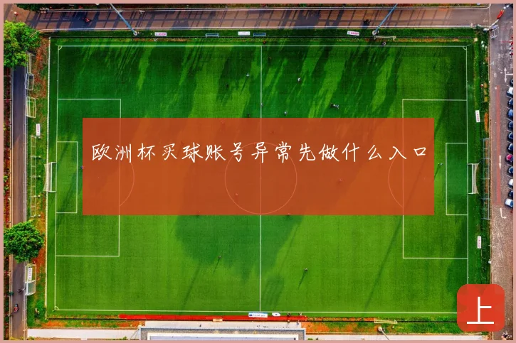 欧洲杯买球账号异常先做什么入口